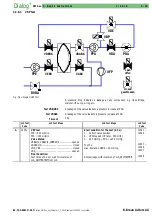 Предварительный просмотр 81 страницы B. Braun Dialog+ Service Manual