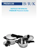 B/R/K PREMIUM Instruction Manual preview