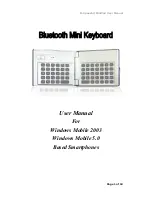 B-Speech MiniPad User Manual preview