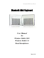 B-Speech MiniPad User Manual предпросмотр