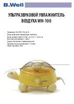 Preview for 3 page of B.Well WH-100 Instruction Manual