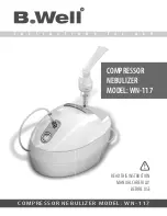 Предварительный просмотр 1 страницы B.Well WN-117 Instruction Manual