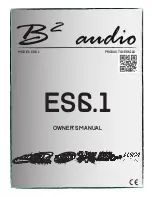 B2 Audio ES6.1 Owner'S Manual предпросмотр