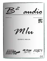 B2 Audio M1u Owner'S Manual preview