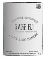 B2 Audio RAGE 6.1 Manual preview