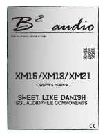 B2 Audio XM18V2 Owner'S Manual preview