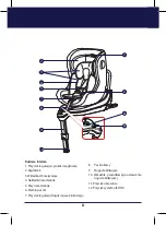 Preview for 8 page of BabySafe Rhodesian User Manual