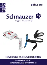 Preview for 1 page of BabySafe Schnauzer Instruction