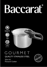 Baccarat GOURMET Manual предпросмотр