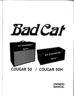 Bad Cat Cougar 50 Owner'S Manual предпросмотр