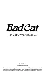 Предварительный просмотр 1 страницы Bad Cat Hot Cat Owner'S Manual