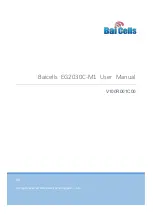 Bai cells EG2030C-M1 User Manual preview