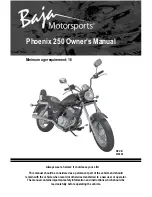 Baja motorsports Phoenix 250 Owner'S Manual preview