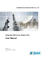 Предварительный просмотр 1 страницы BAK BTESF48V100-R User Manual