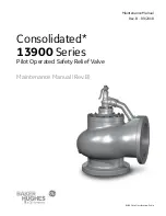 Baker Hughes 13900 Series Maintenance Manual предпросмотр