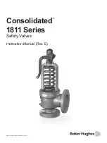 Предварительный просмотр 1 страницы Baker Hughes Consolidated 1811 FA-0-3X1-20 Instruction Manual