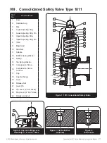 Предварительный просмотр 11 страницы Baker Hughes Consolidated 1811 FA-0-3X1-20 Instruction Manual