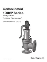 Baker Hughes Consolidated 1900/P Series Instruction Manual предпросмотр