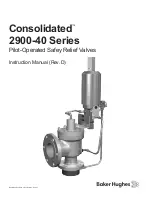 Baker Hughes Consolidated 2900-40 Series Instruction Manual preview