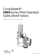 Baker Hughes Consolidated 2900 series Maintenance Manual предпросмотр