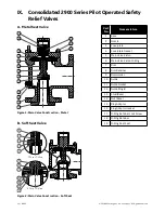 Preview for 16 page of Baker Hughes Consolidated 2900 series Maintenance Manual