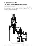 Preview for 21 page of Baker Hughes Consolidated 2900 series Maintenance Manual