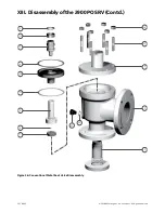 Preview for 30 page of Baker Hughes Consolidated 2900 series Maintenance Manual