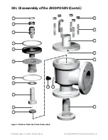 Preview for 31 page of Baker Hughes Consolidated 2900 series Maintenance Manual