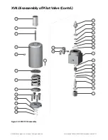 Preview for 57 page of Baker Hughes Consolidated 2900 series Maintenance Manual