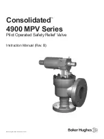 Предварительный просмотр 1 страницы Baker Hughes Consolidated 4900 Series Instruction Manual