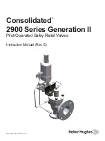 Baker Hughes Consolidated Generation II 2900 Series Instruction Manual предпросмотр