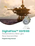 Baker Hughes DigitalFlow XGF868i Programming Manual предпросмотр