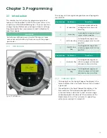 Предварительный просмотр 31 страницы Baker Hughes Panametrics PanaFlow LC User Manual