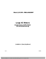 Preview for 2 page of Baldor Global TEAO Series Installation & Operating Manual