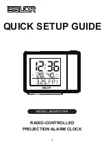 Preview for 1 page of BALDR B0367STHR Quick Setup Manual