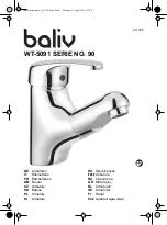 baliv WT-5091 Manual preview