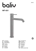 baliv WT-631 Manual предпросмотр