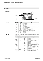 Предварительный просмотр 113 страницы Balluff BNI CCL-502-100-Z001 User Manual