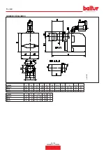 Preview for 12 page of baltur 17020010 Instruction Manual For Installation, Use And Maintenance