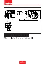 Preview for 11 page of baltur 17350010 Installation, Use And Maintenance Instruction Manual