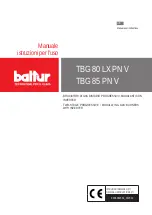 baltur 17490020 Manual User Instructions preview