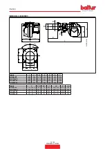 Preview for 12 page of baltur 17830010 Installation, Use And Maintenance Instruction Manual