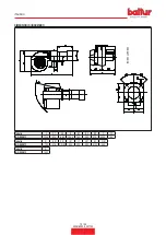 Preview for 12 page of baltur 67230020 Instruction Manual For Installation, Use And Maintenance