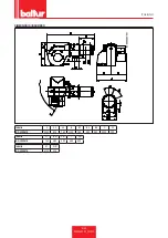 Preview for 11 page of baltur 67260010 Installation, Use And Maintenance Instruction Manual