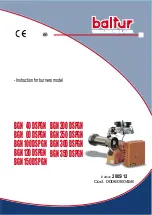 Preview for 1 page of baltur BGN 100 DSPGN Instructions Manual