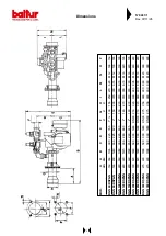 Preview for 5 page of baltur BGN 100 DSPGN Instructions Manual