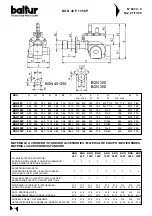 Предварительный просмотр 9 страницы baltur BGN 100 P Instruction Manual