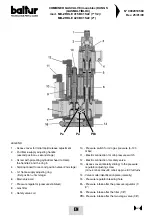 Preview for 48 page of baltur BGN 100 P Instruction Manual