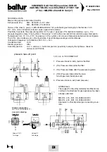 Preview for 49 page of baltur BGN 100 P Instruction Manual