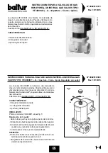 Предварительный просмотр 82 страницы baltur BGN 100 P Instruction Manual